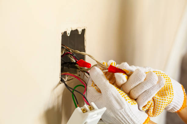 Best Surge Protection Installation  in Westernport, MD